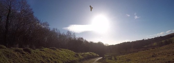 Atlanta Flying