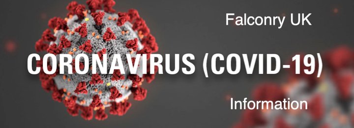Coronavirus Information