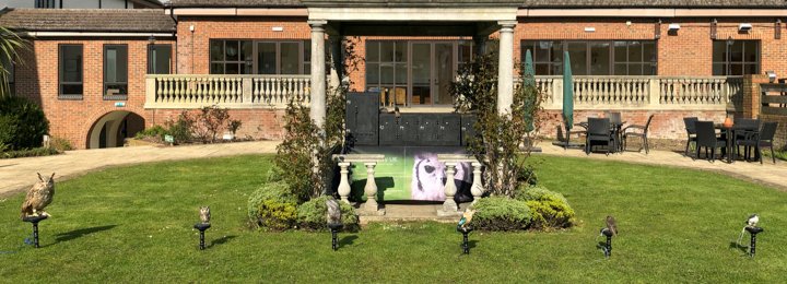 Falconry UK Works with Sony UK