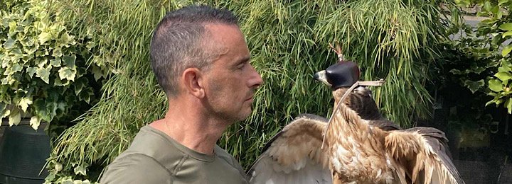 African Hawk Eagle Joins Our Team