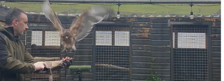 Our African Hawk Eagles First Flight