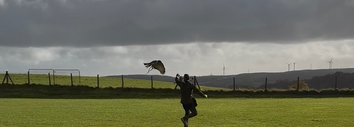 First Off Site Flight With Our African Hawk Eagle